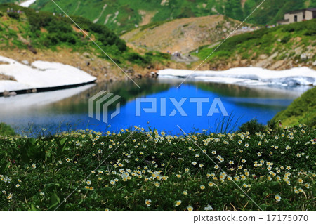 Tingleka and Mikuri Pond 17175070