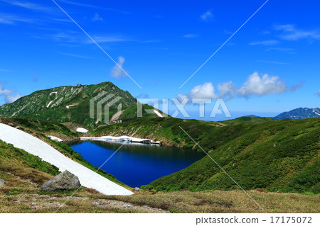 只有在夏天的池塘 17175072