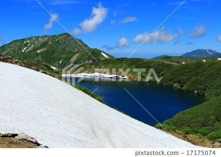 Only in the summer the pond 17175074