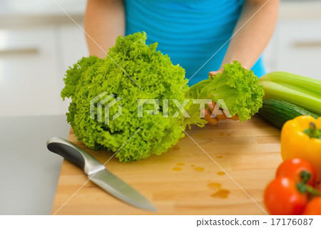Closeup on woman tearing green salad on cutting board 17176087