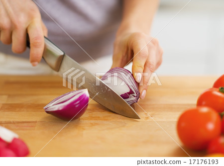Closeup on woman cutting onion on cutting board 17176193