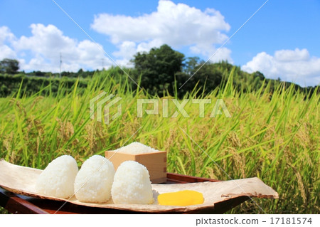 Bright autumnal weather rice balls and rice balls Bright autumnal weather rice balls and rice balls 17181574