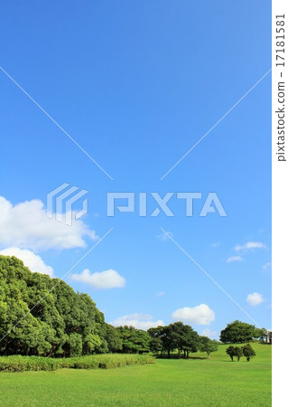 藍天和新鮮的綠色公園 17181581