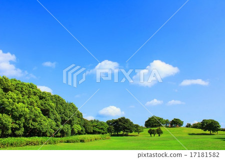 藍天和新鮮的綠色公園 17181582