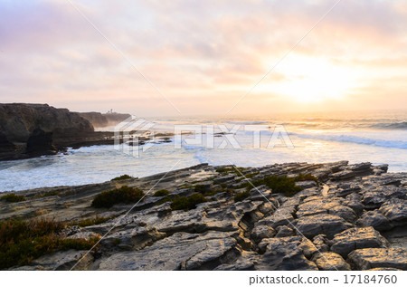 ocean coastline 17184760