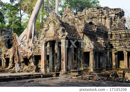 Preah Khan 17185206
