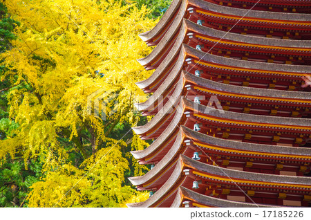 Yellow leaf Shishiyama shrine 17185226