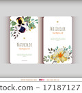 Abstract watercolor cards. Watercolor flowers. 17187127