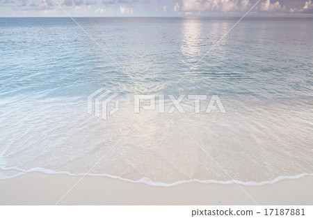 Yoron Island (shopping arcade) Yoron Island (shopping arcade) 17187881