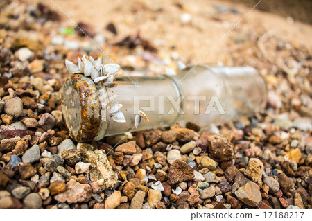 Shellfish On A Bottle 17188217
