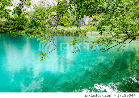 Clear water of Plitvice Lakes, Croatia Clear water of Plitvice Lakes, Croatia 17189044