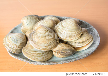 白色capgres 白色capgres 17189415