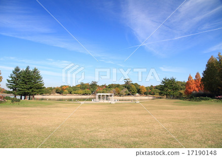 Coloring park 17190148