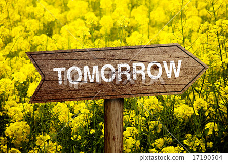 Tomorrow roadsign Tomorrow roadsign 17190504