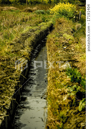 Ditch Ditch 17191404