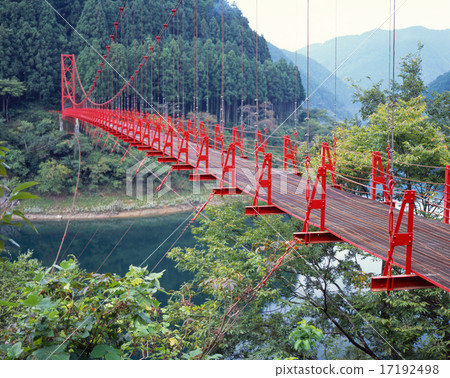 Zao bridge that can fully enjoy forest bathing (a red suspension bridge over Aikawa Dam of Arita River) / Wakayama Prefecture 17192498