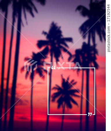 Silhouette Coconut Palm Tree Outdoors Concept Silhouette Coconut Palm Tree Outdoors Concept 17192544