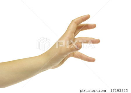 human hand 17193825
