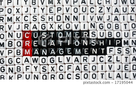 CRM Consumer Relationship Management 17195044
