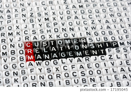 CRM Consumer Relationship Management 17195045