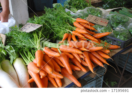 market market 17195691