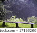 Rain scenery 17196260