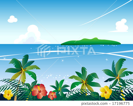 South Island 17196775