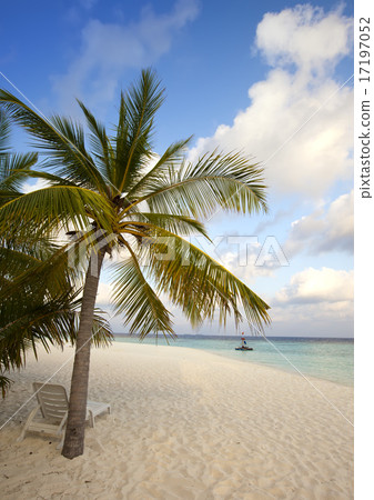 Empty beach chairs and palm on sand by the sea at Empty beach chairs and palm on sand by the sea at 17197052