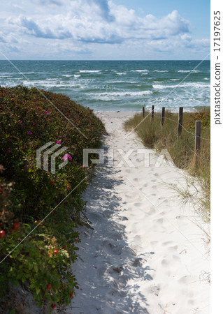 Sand and dune 17197625