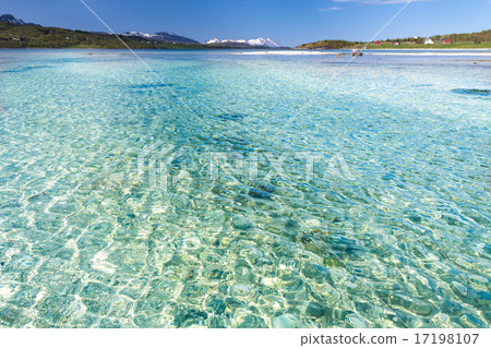 Paradise beach of Lofoten 17198107