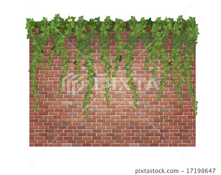 Hanging down ivy shoots on the brick wall backgrou 17198647