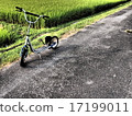 踢踏板車和稻田 17199011