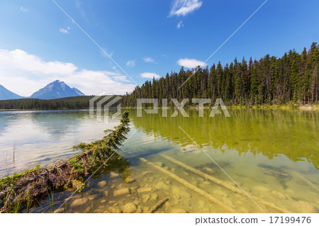 Lake in Jasper 17199476