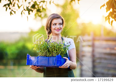 Young woman gardening Young woman gardening 17199829