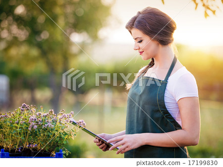 Young woman gardening Young woman gardening 17199830