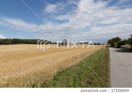 Stubblefield Bagenkop 17200669