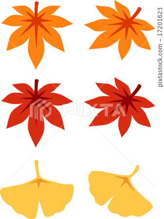 秋葉（Momiji，Ginkgo biloba） 17201623