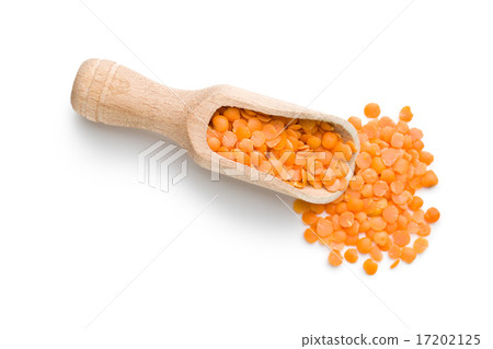 red lentils in wooden scoop red lentils in wooden scoop 17202125