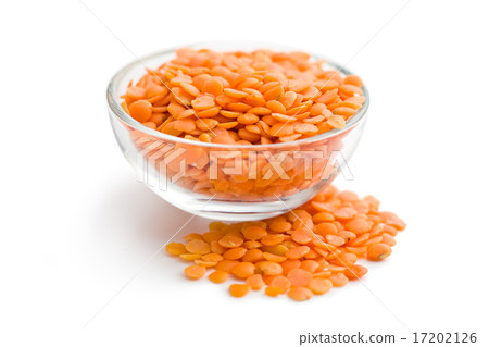 red lentils in bowl red lentils in bowl 17202126