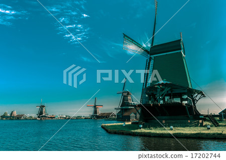 Windmills in Zaanse Schans, Holland, Netherlands 17202744