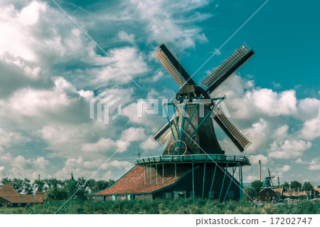 Windmills in Zaanse Schans, Holland, Netherlands 17202747