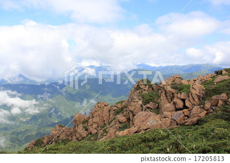 Serpentine rock of Mt. 17205813