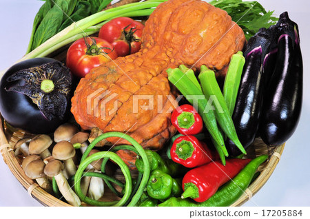 Summer Kyo蔬菜系列 17205884