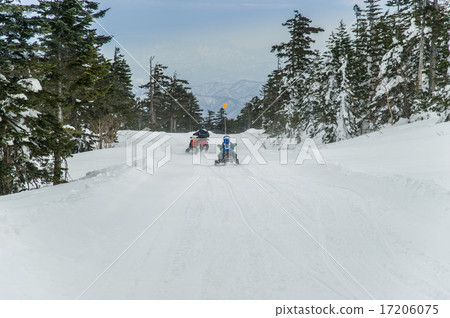 Shiga Takahara Yokoteyama summit snow scene snowboarder 17206075