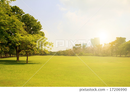 The beautiful city park The beautiful city park 17206990