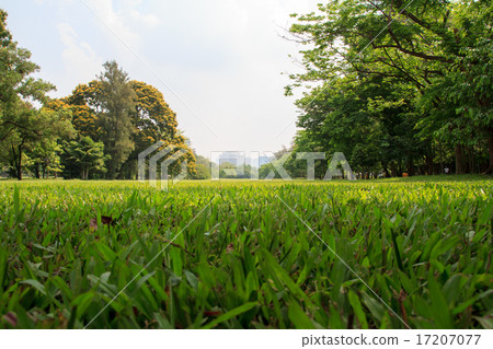 The beautiful city park The beautiful city park 17207077