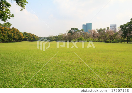 The beautiful city park 17207138