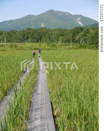 Mt. Foshan from Ozegahara 17207271
