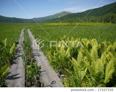 來自Ozegahara的佛山 17207350