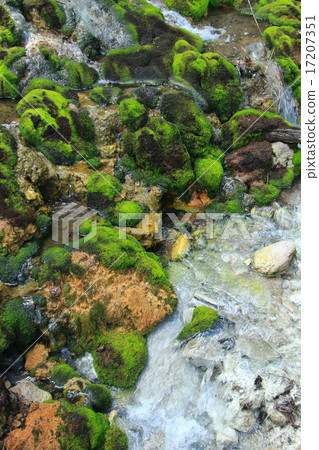 鵝口瘡Bomigoque 鵝口瘡Bomigoque 17207351